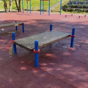 Купить Помост для выполнения испытания "Сгибание-разгибание рук в упоре лежа на полу" в Меленках 