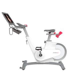 Купить Велотренажер Yesoul BV1-W PLUS в Меленках 